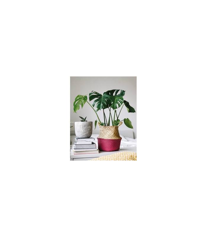 Santa Lucia Mobili Giorno ptg303